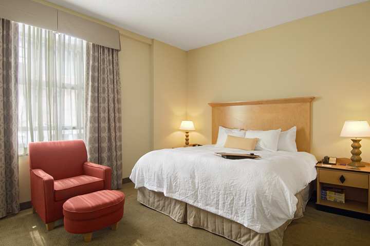 Hampton Inn & Suites Atlanta-Downtown Cameră foto